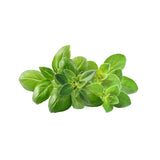 Italian Herb Mix 9-pack