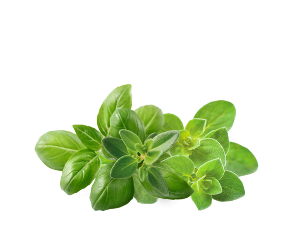 Italian Herb Mix 9-pack