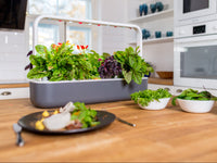 Best Gift Under €200 / Best Gift Under €200