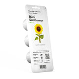 Mini Sunflower Plant Pods 3-pack