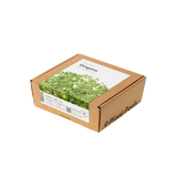 Oregano Plant Pods 9-pack