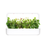 Oregano Plant Pods 9-pack