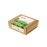 Pak Choi Plant Pods 9-pack
