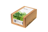 Pak Choi Plant Pods 30-pack