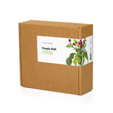 Purple Chili Pepper Plant Pods 9-pack