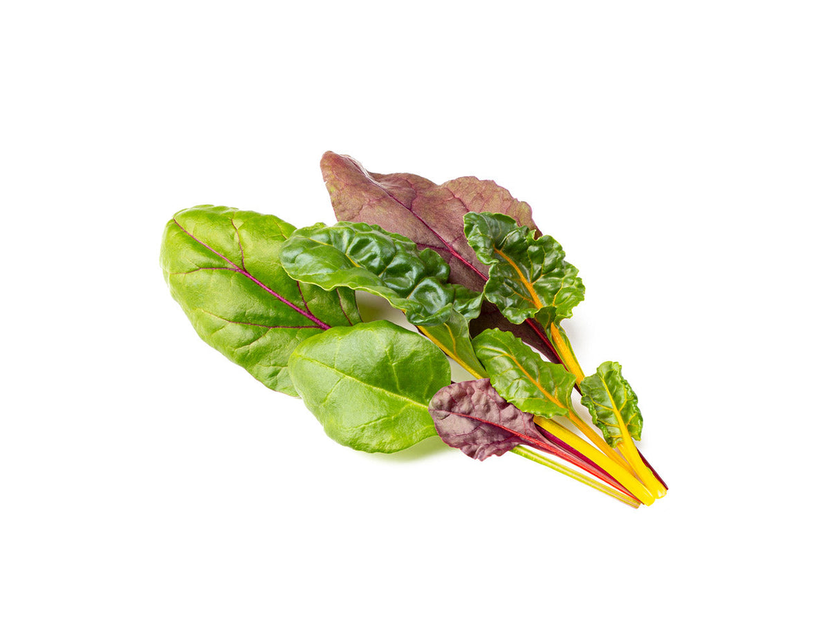 Rainbow Chard Plant Pods 9-pack / Rainbow Chard Plant Pods 9-pack