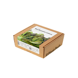 Red Romaine Lettuce Plant Pods 9-pack