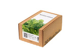 Romaine Lettuce Plant Pods 30-pack