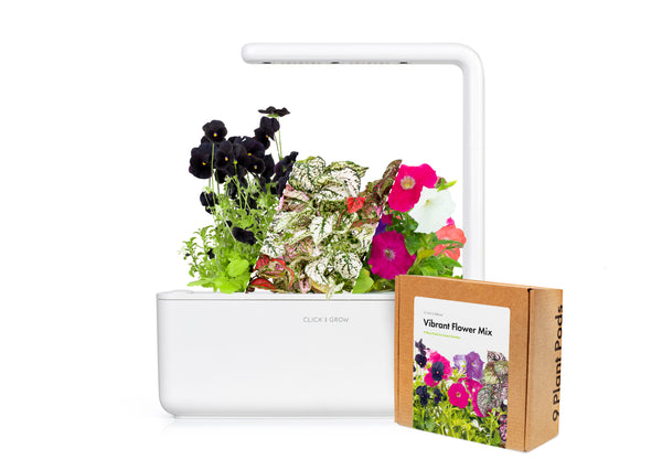 Small Vibrant Flower Kit