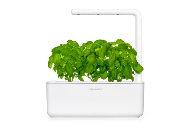 Basil Plant Pods 9-pack / Basil Plant Pods 9-pack