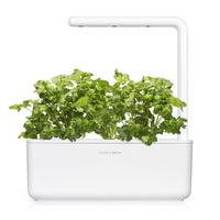 Cilantro (Coriander) Plant Pods 9-pack / Cilantro (Coriander) Plant Pods 9-pack