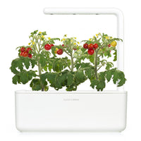 Mini Tomato Plant Pods 9-pack / Mini Tomato Plant Pods 9-pack