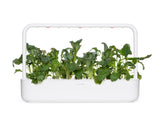 Italian Kale Plant Pods 9-pack
