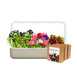 Big "Vibrant Flower" Kit