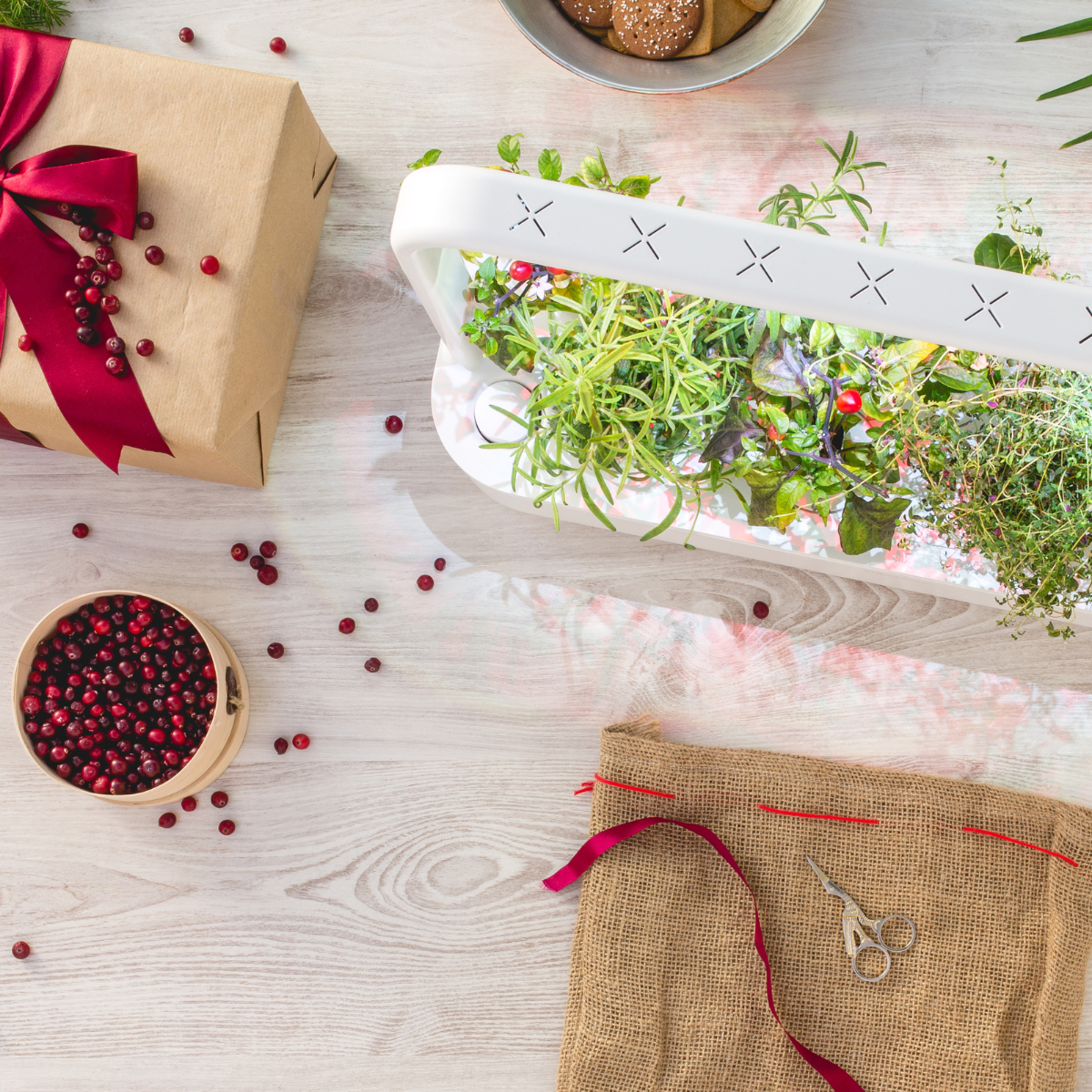 Best Gift Under €200 / Best Gift Under €200