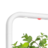 The Smart Garden 9 Lamp