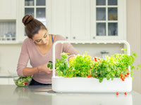 The Smart Garden 9 / The Smart Garden 9