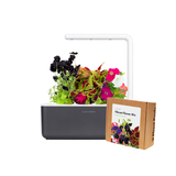 Small "Vibrant Flower" Kit