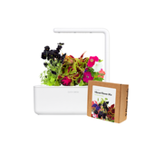 Small "Vibrant Flower" Kit