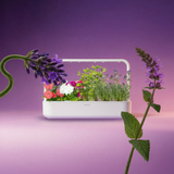 Spring Aromatherapy Mix