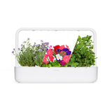 Spring Aromatherapy Mix