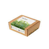 Thai Basil Plant Pods 9-pack