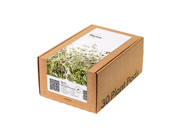 Thyme 30-pack
