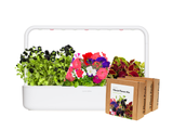 Big "Vibrant Flower" Kit