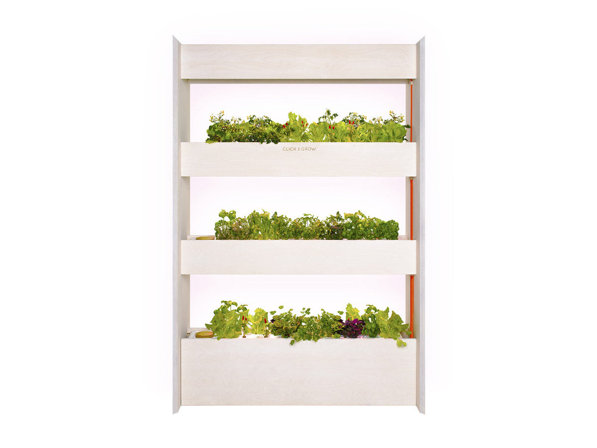 The Wall Farm Indoor Vertical Garden / The Wall Farm Indoor Vertical Garden