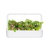 Wild Strawberry Plant Pods 9-pack
