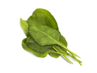 Green Chard Plant Pods 9-pack / Green Chard Plant Pods 9-pack