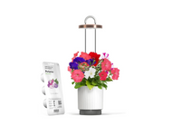 HydroVase by Ermonix / HydroVase by Ermonix