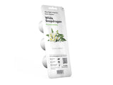 White Snapdragon Plant Pods 3-pack
