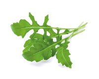 Arugula Plant Pods / Arugula Plant Pods