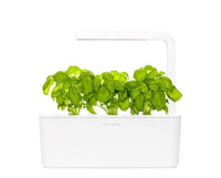 Basil Refill / Basil Refill