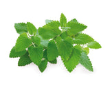 Catnip Plant Pods 3-pack