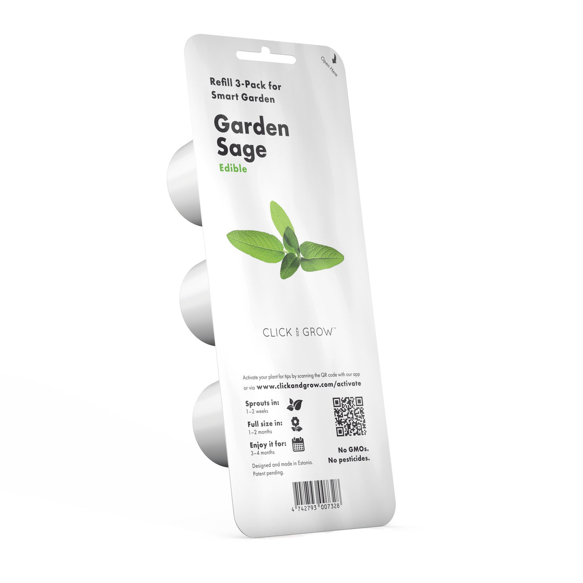 Garden Sage Plant Pods / Garden Sage Plant Pods