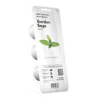 Garden Sage Plant Pods / Garden Sage Plant Pods