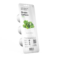 Green Lettuce Plant Pods / Green Lettuce Plant Pods