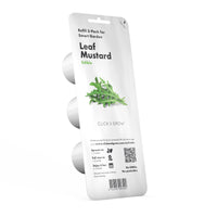 Leaf Mustard Plant Pods / Leaf Mustard Plant Pods