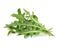 Leaf Mustard Plant Pods / Leaf Mustard Plant Pods