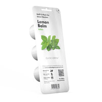 Lemon Balm Plant Pods / Lemon Balm Plant Pods