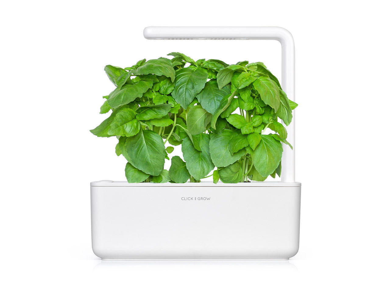 Marseille Basil Plant Pods Click Grow Indoor Herb Gardens