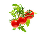 Mini Tomato Plant Pods 3-pack