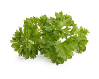 Curly Parsley Plant Pods / Curly Parsley Plant Pods