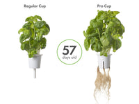 Pro Plant Cups - perforated cups for increased yield (9 pcs) / Pro Plant Cups - perforated cups for increased yield (9 pcs)