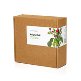 Purple Chili Pepper Plant Pods 3-pack