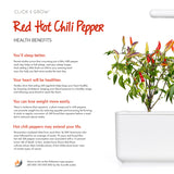 Red Hot Chili Pepper Plant Pods 3-pack