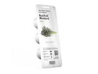 Red Frill Mustard Plant Pods / Red Frill Mustard Plant Pods