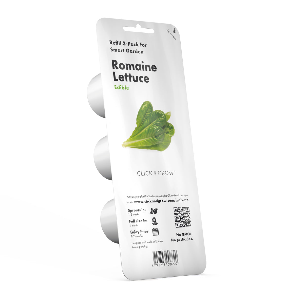 Romaine Lettuce Plant Pods / Romaine Lettuce Plant Pods